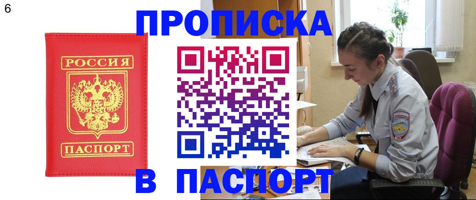 прописка гарантия в Камбарке
